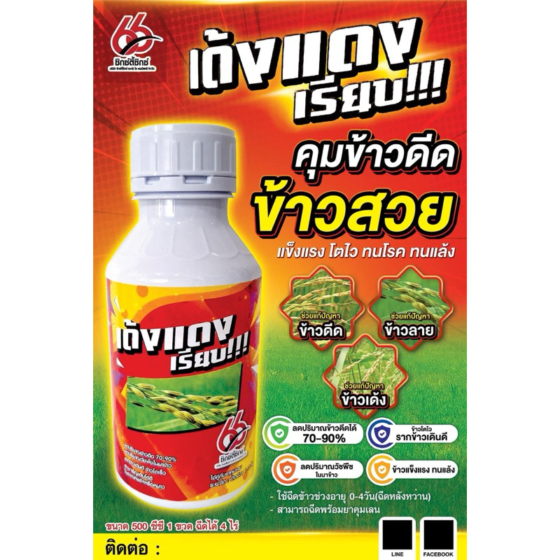 เด้งแดงเรียบ  สารลดการงอก และกำจัดข้าวดีด ข้าวเด้ง ข้างหาง วัชพืชในนาข้าว