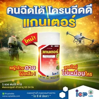 แกนเตอร์ 1 ลิตร *ส่งฟรี* ตราไอซีพีลัดดา โพรพานิล+อะนิโลฟอส กำจัดวัชพืชในนาข้าวช่วงคุมฆ่า ใบแคบ ใบกว้าง กก หญ้าดื้อยา