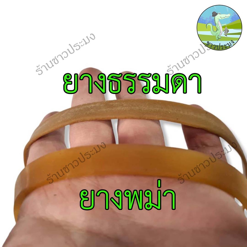 หนังสติ๊ก ยางไทย พม่า ยางหนังสติ๊ก หนังสะติ๊ก ราคา ถูกที่สุด ดีลบีเคเค แกลเลอรีภาพที่ 4