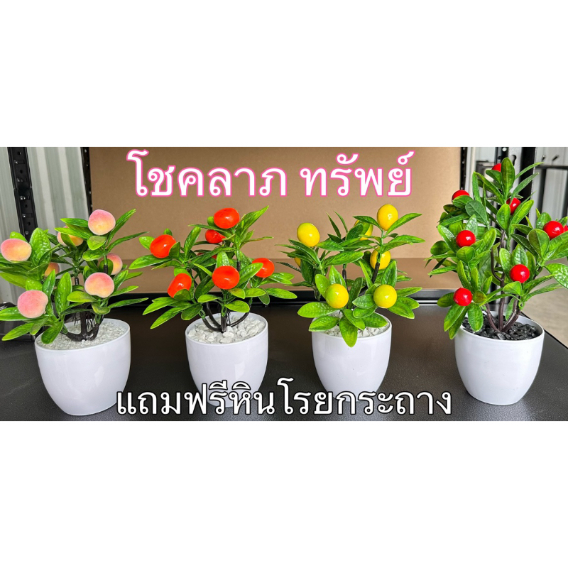 ต้นผลไม้มงคล ส้มมงคล ต้นผลไม้ปลอมแถมฟรีหินโรยกระถาง