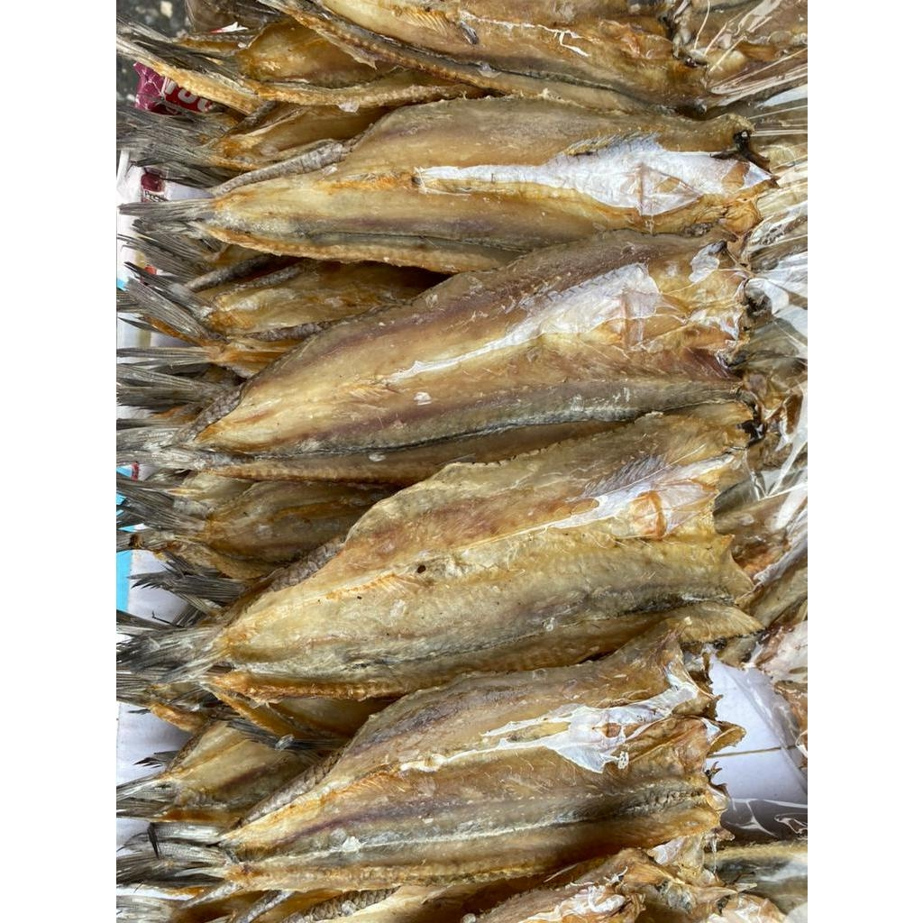 [ครึ่งกิโล] ปลาช่อนทะเลขนาดกลาง ราคาพิเศษ พร้อมส่ง อร่อย สะอาด สดใหม่