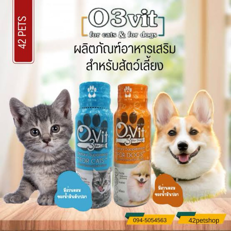 📍แถมฟรี ไซริ้งดูดยา 💉วิตามิน O3vit 50ml โอทรีวิท วิตามินบำรุงหมาและแมว ให้อ้วน ขนสวย แข็งแรง มีไลซีน