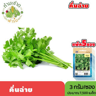 [แพ็ค 5 ซอง] เจียไต๋ เมล็ดพันธุ์ คึ่นฉ่าย ขนาดซองละ3กรัม ประ…