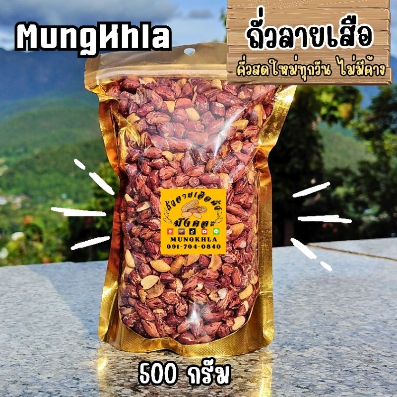 มังคละ ถั่วลายเสือแม่ฮ่องสอน 500 กรัม (คัดเกรดพิเศษ) เมล็ดใหญ่ คั่วใหม่ หอม มัน ถั่วคั่วพร้อมทาน
