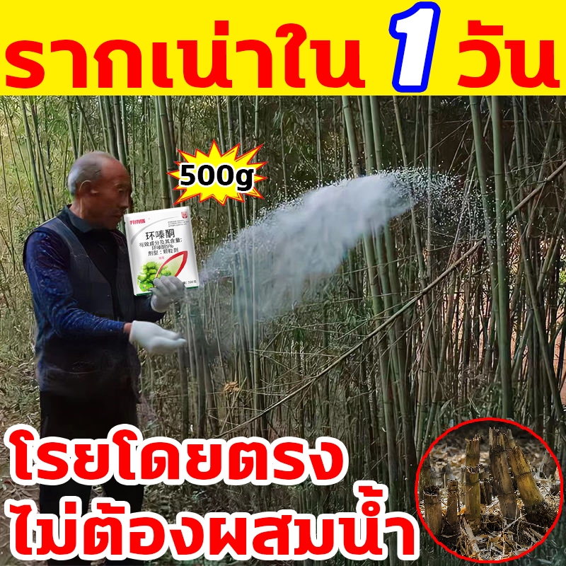 ตรงไปที่ราก ไม่เป็นอันตรายต่อดิน ยาฆ่าตอไม้ 1ถุง ฆ่าต้นไม้ใหญ่ได้1000ต้น ยาฆ่าไผ่ ยาฆ่าไม้ไผ่ สารกําจัดกอไผ่