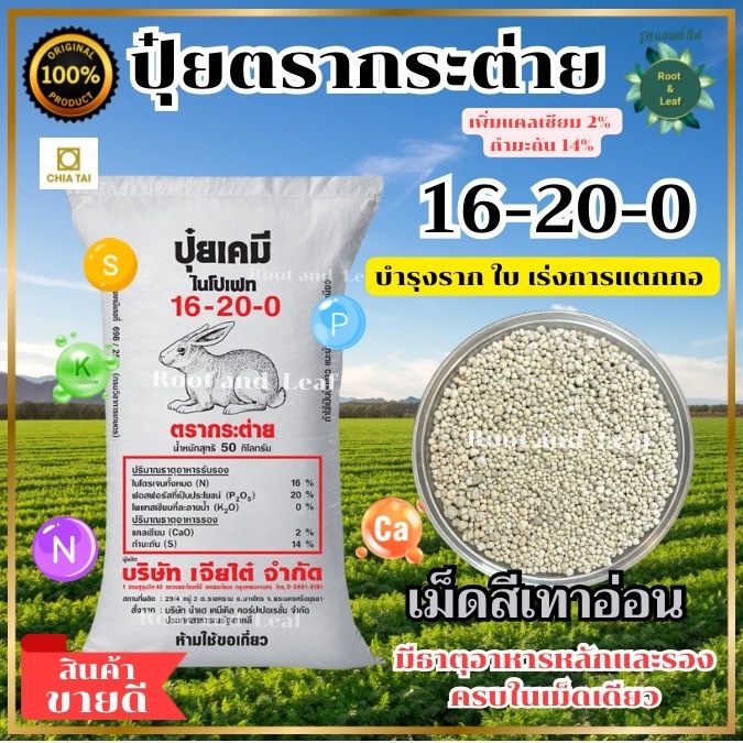 ปุ๋ยตรากระต่าย สูตร 16-20-0 กระสอบสีขาว บำรุงต้น ใบ และผล เพิ่มแคลเซียม 3% เม็ดสีเทาอ่อน ละลายง่าย พืชนำไปใช้ได้ไว