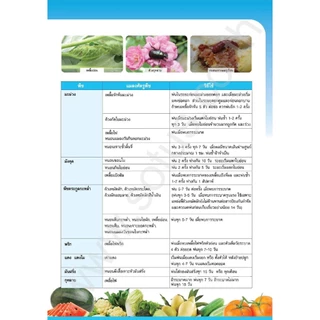 โซตัส เซฟวิน85 [ขนาด100 กรัม] ของแท้ กำจัดไรไก่ หนอน เพลี้ยไฟ เต่าทอง มด เห็บ หมัด ปลวก ฉีดผ่าดอกได้