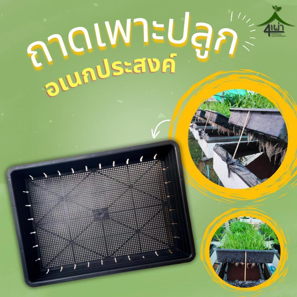 ถาดเพาะปลูกอเนกประสงค์ มีรูระบายน้ำ เหนียวทนทาน ขนาดพอดีกับกล่องกุ้ง 10 กก. - เกษตรกรรมยั่งยืน