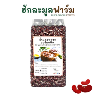 ออร์แกนิคมีใบ ถั่วแดง ขนาด 500 กรัม ตราฮักละมูลฟาร์ม RED KIDNEY BEAN