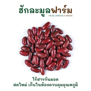 ออร์แกนิคมีใบ ถั่วแดง ขนาด 500 กรัม ตราฮักละมูลฟาร์ม RED KIDNEY BEAN
