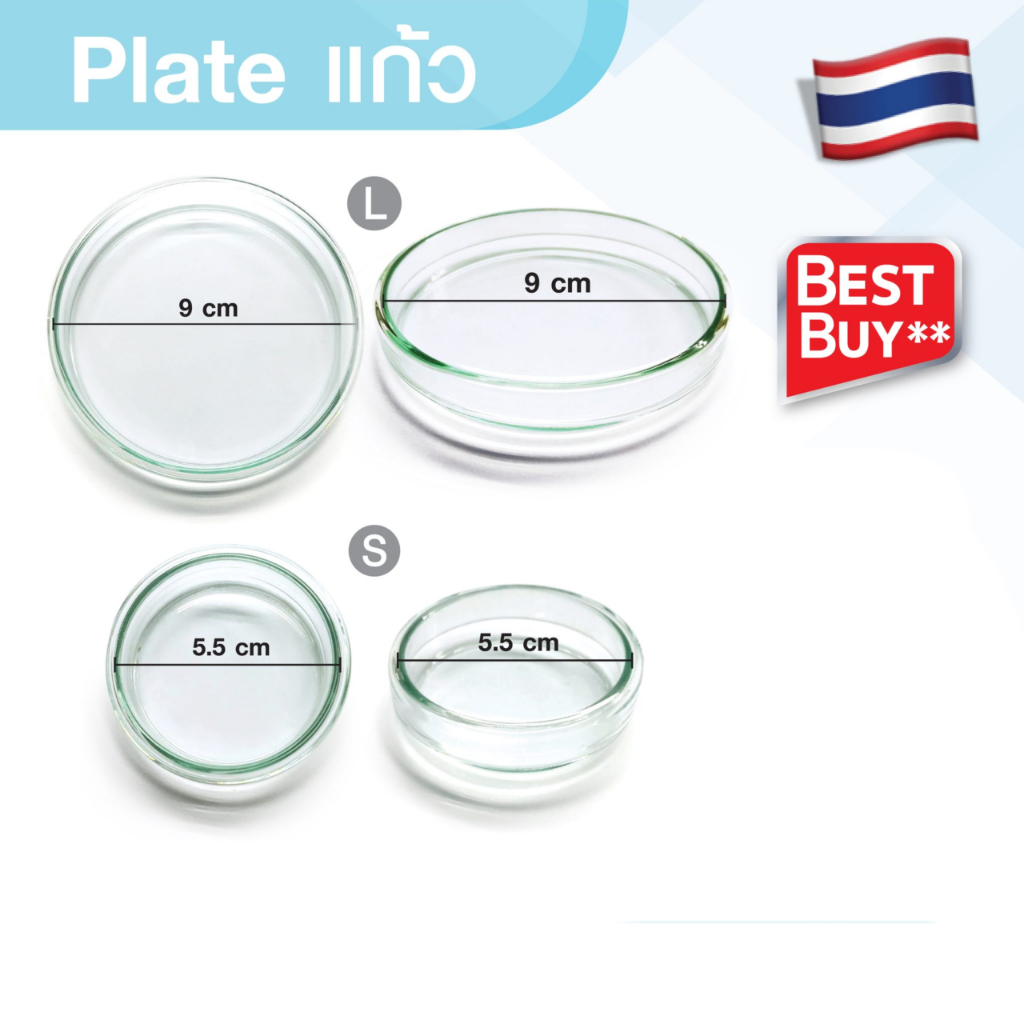 Plate แก้ว มี 2 ขนาดให้เลือก