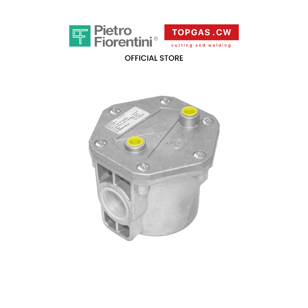 ฟิลเตอร์กรองแก๊ส Gas Filter Pietro Fiorentini รุ่น FMF ❘ topgascw