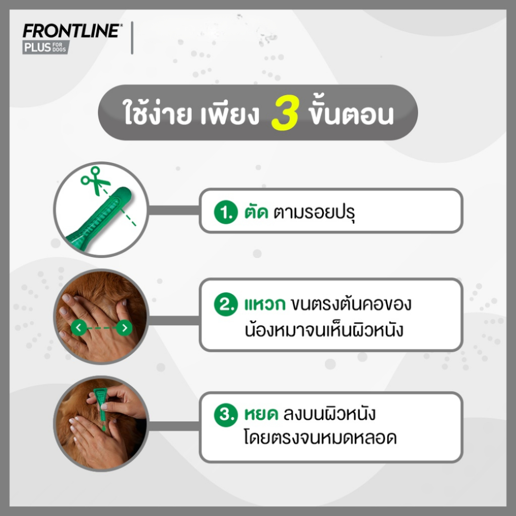 รูปภาพ 5