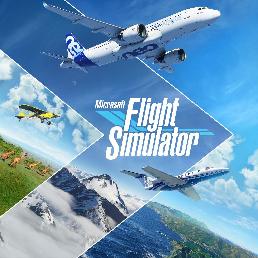 Microsoft Flight Simulator เกม คอม USB Flashdrive