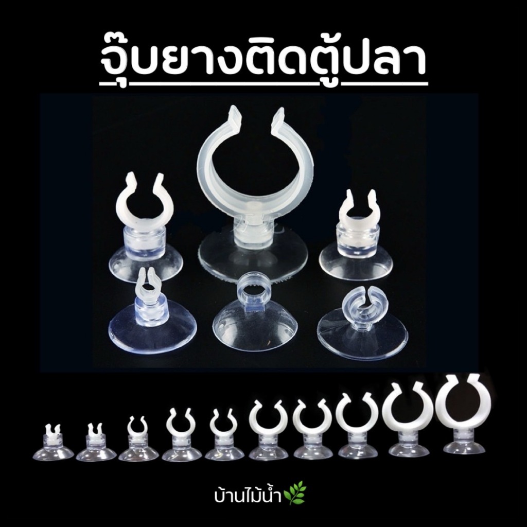 จุ๊บยาง ติดกระจก ตู้ปลา 10 ขนาด | บ้านไม้น้ำ🌿
