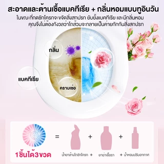 🌸【ชุด 1 ปี】ก้อนดับกลิ่นชักโครก 30 ก้อน กลิ่นกุหลาบหอมสดชื่น ใช้ได้ยาว 12 เดือน กำจัดกลิ่นอับไม่พึงประสงค์