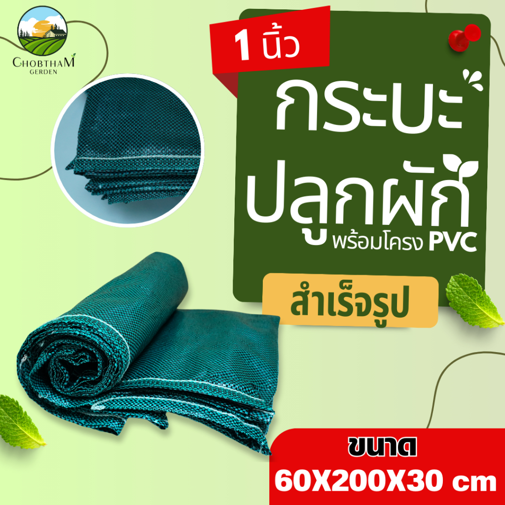 กะบะปลูกผัก แปลงปลูกผัก สำเร็จรูป พร้อมโครง PVCขนาด 60×200×30 cm