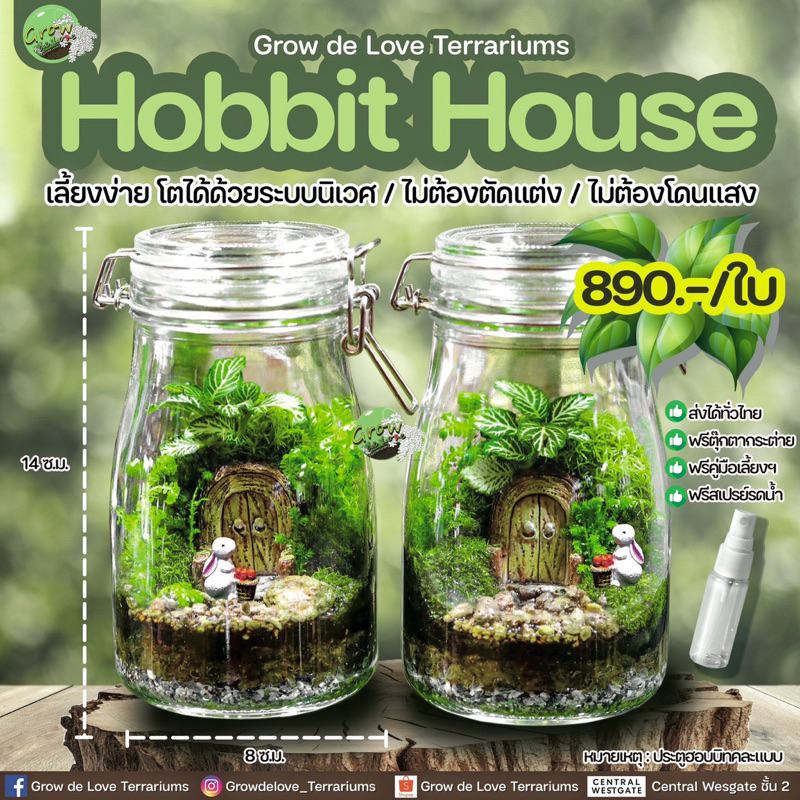 Hobbit House สวนขวด ต้นไม้ในขวดโหล ตกแต่งบ้าน ของขวัญ