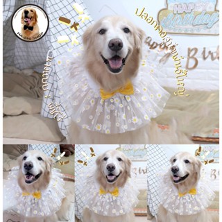 Ha-Shi SHOP ปลอกคอสุนัขใหญ่ รุ่นฟรุ้งฟริ้งเดซี่ มีหลายสีมาก