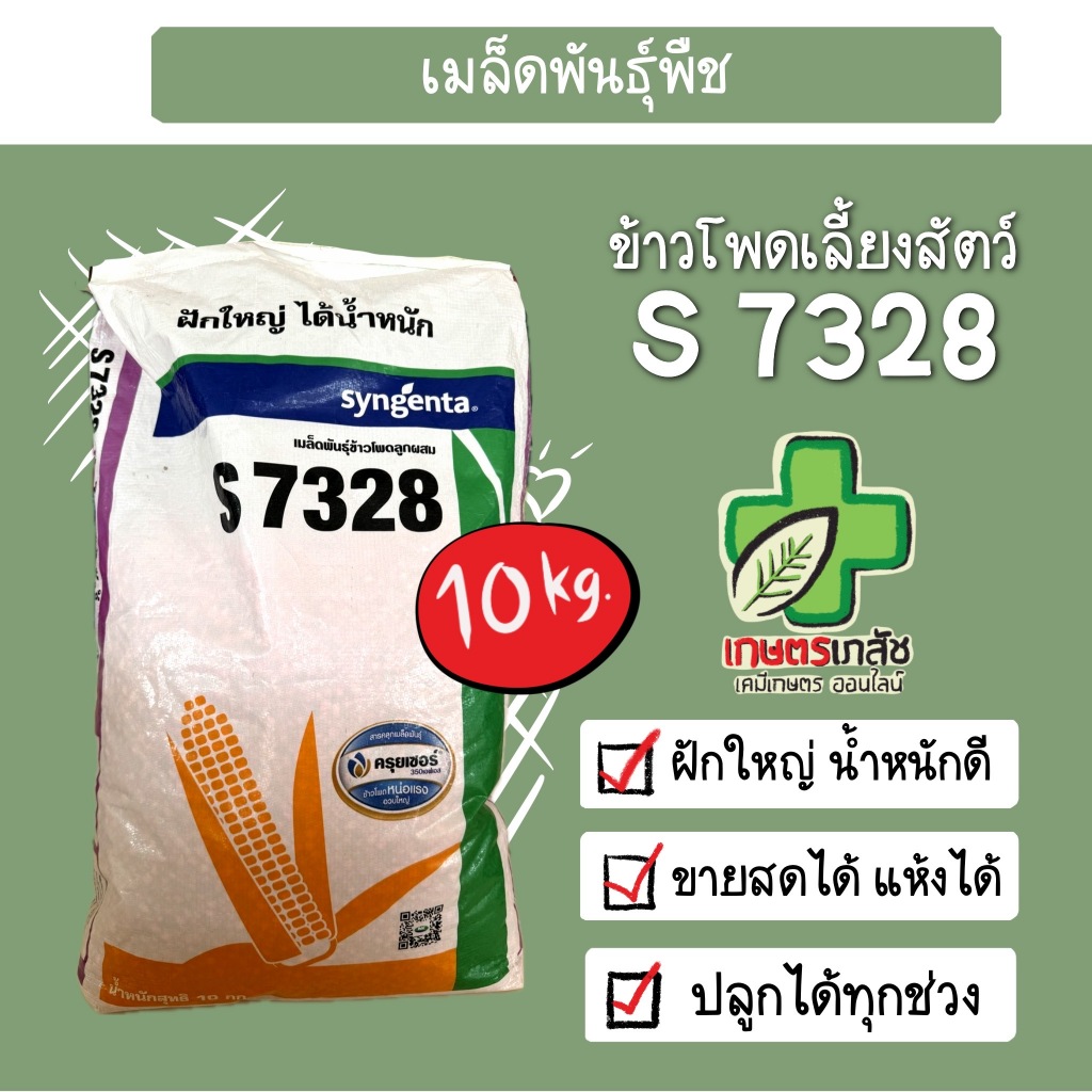 ข้าวโพดเลี้ยงสัตว์ NK7328 10กิโล