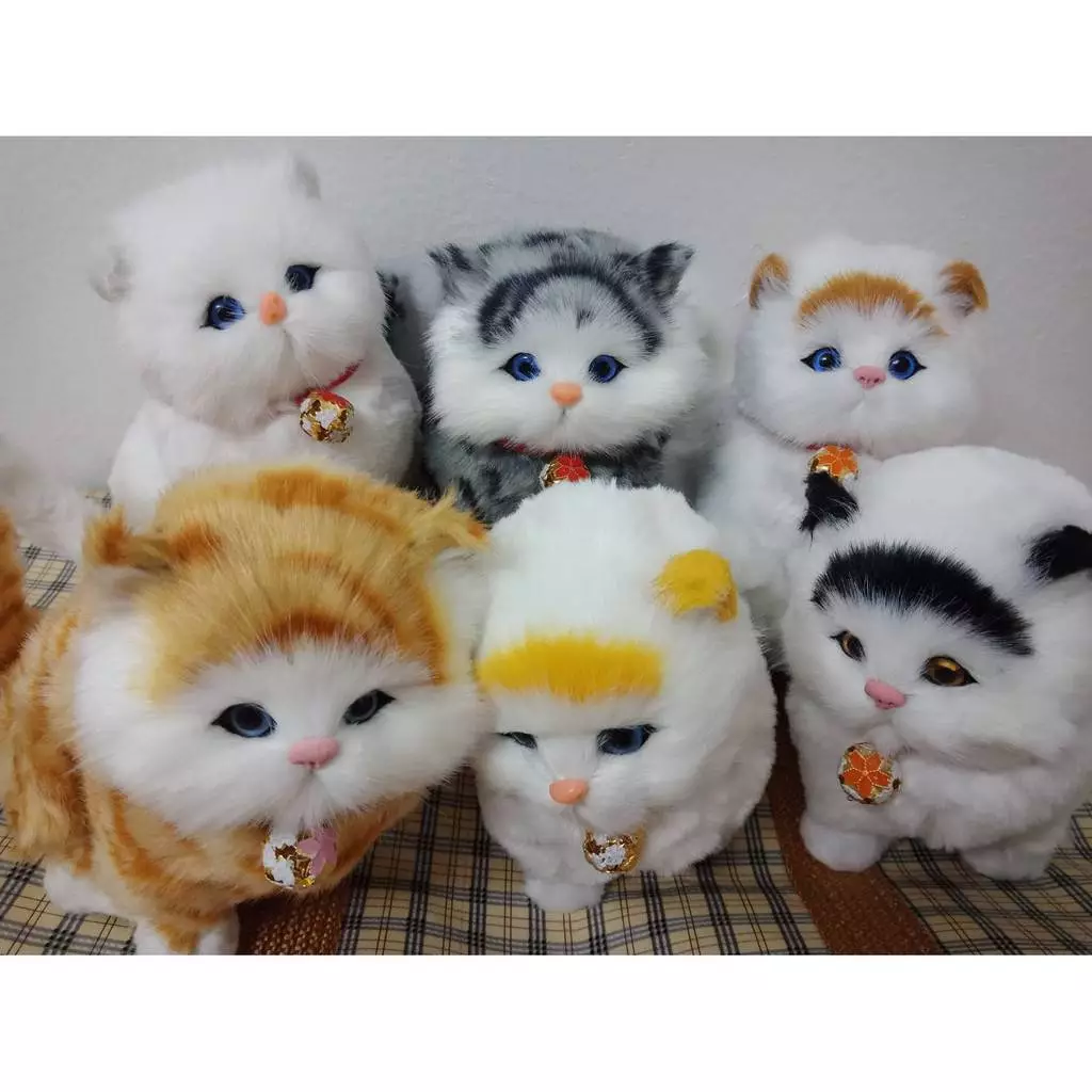 ตุ๊กตาน้องเเมวมีเสียง น่ารัก มีปุ่มกดให้ ราคาถูกพร้อมส่ง