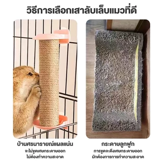Pawblic 🌈 เสาลับเล็บแมว อะไหล่คอนโดแมว ที่ฝนเล็บแมว เสาลับเล็บติดกรง ทำจากไม้แท้ เกรดพรีเมี่ยม มีขนาด 40 และ 50 ซม.