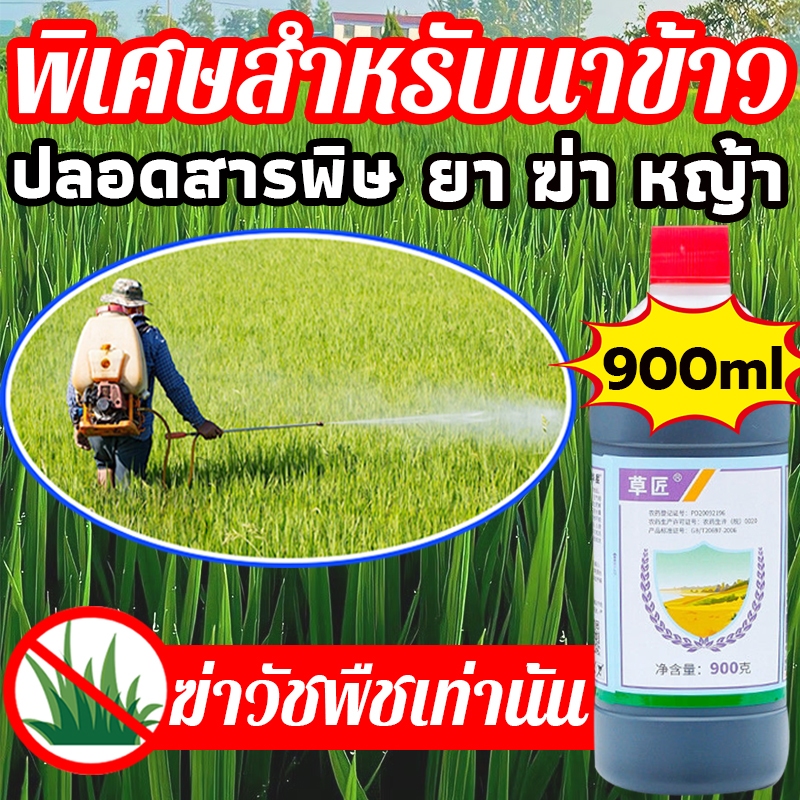 Flash Sale ความจุสูง900ml ยาฆ่า หญ้า ยา ฆ่า หญ้า ยาคุม-ฆ่า ในนาข้าว ยาฆ่าหญ้าในนาข้าว กำจัดวัชพืชในนาข้าวได้