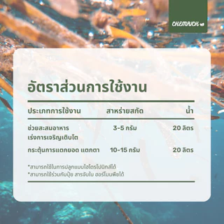 100G/500G สาหร่ายทะเล สาหร่ายผงสกัด สาหร่ายพืช ช่วยเร่งการเจริญเติบโต เพิ่มน้ำหนักผล เร่งแตกดอก / Seaweed extract powder