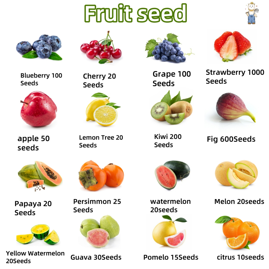 เมล็ดผลไม้ Fruit seeds เมล็ดสตรอเบอร์รี่ เมล็ดบลูเบอร์รี่ เมล็ดส้ม เมล็ดแคนตาลูป เมล็ดมะนาว เมล็ดแตงโม ยังมีอีกมาก