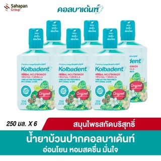 Kolbadent น้ำยาบ้วนปากสมุนไพรสกัดบริสุทธิ์ คอลบาเด้นท์ 250 มล. แพ็ค 6 ขวด