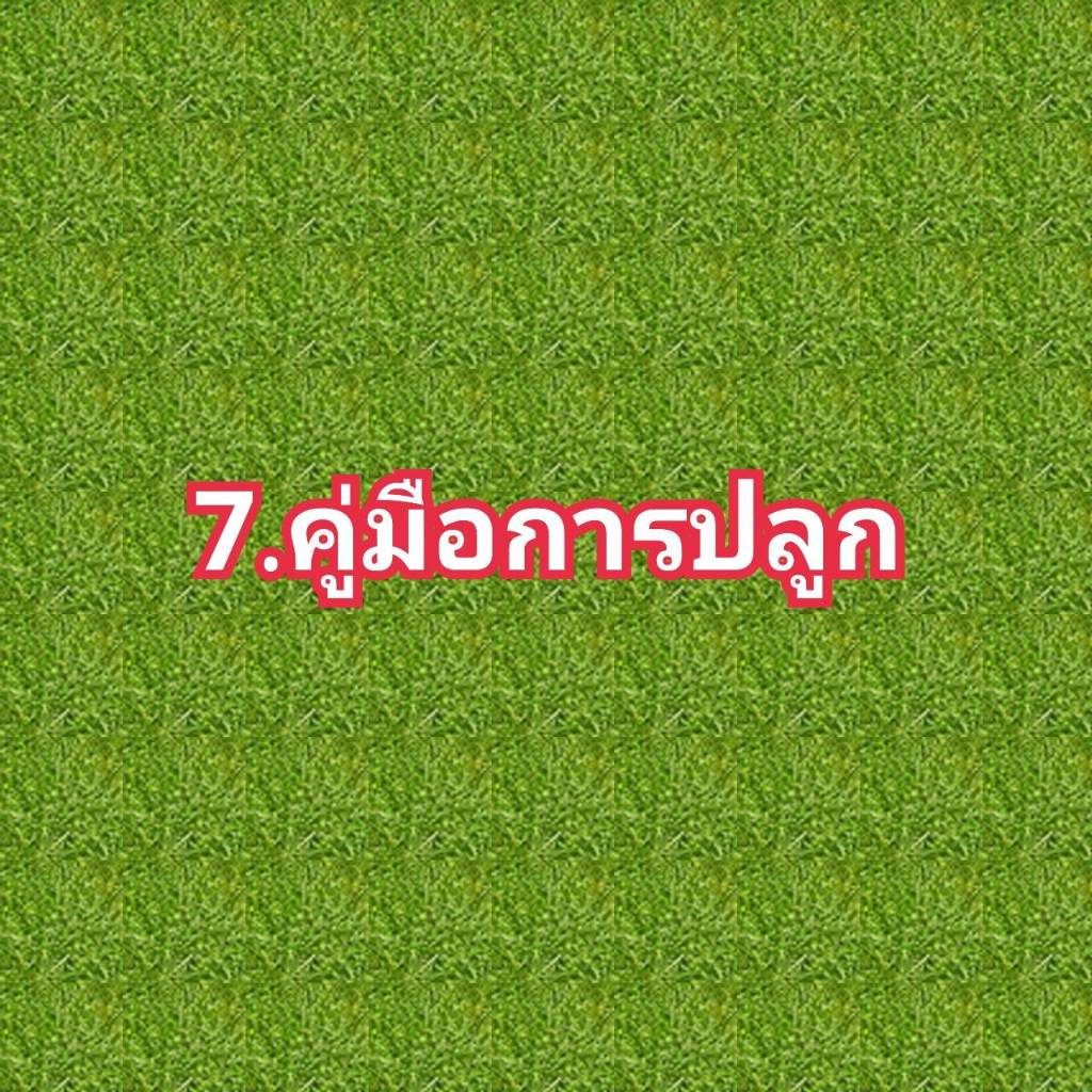 ชุดอุปกรณ์ปลูกผักไฮโดรโปนิกส์ 7 ชิ้น พร้อมคู่มือการปลูก สุดคุ้ม - รูปที่ 3