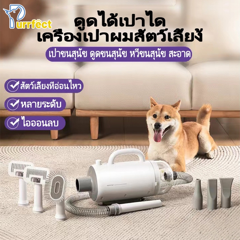 สัตว์เลี้ยงไดร์เป่าขนสุนัขและแมว เครื่องเป่าขนไดร์ไล่น้ำ เครื่องดูดขนสัตว์เลี้ยง ไดร์เป่าขนหมา การดูดและการเป่าแบบรวม