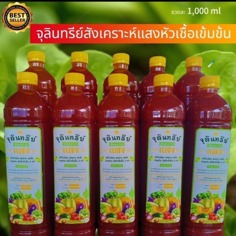 จุลินทรีย์สังเคราะห์แสงหัวเชื้อเข้มข้น สีแดงจัด