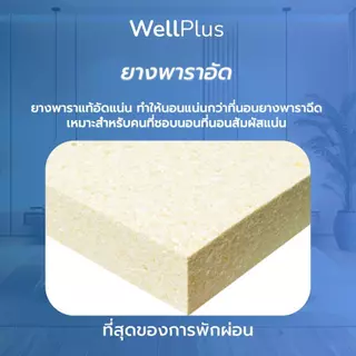WellPlus ที่นอนยางพาราเสริมสปริง รุ่น GALAXY ความหนา 10 นิ้ว หนานุ่มเด้ง นอนสบาย รองรับสรีระ รับน้ำหนักได้ดี