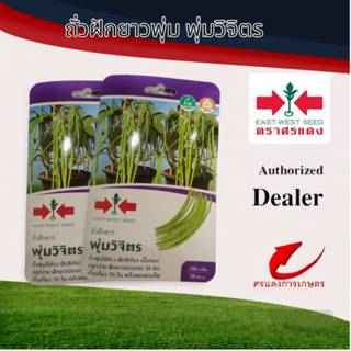 ผักซองศรแดงถั่วฝักยาวพุ่มวิจิตร