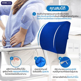 Future Living เบาะรองหลัง เบาะรองนั่ง เพื่อสุขภาพ