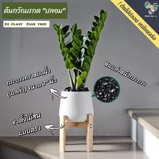 🌿ต้นไม้ปลอม ต้นกวักมรกตปลอม 60 cm. พร้อมกระถาง+หินแต่งหน้ากระถาง+ขาตั้ง ครบชุดพร้อมโชว์ สินค้าพร้อมจัดส่งในไทย🇹🇭