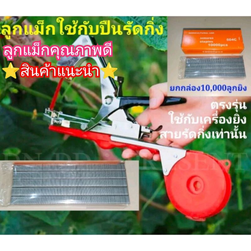 ลูกแม็ก10,000ยิง(ใช้กับเครื่องรัดกิ่งองุ่น เมล่อน)ตรงรุ่นใช้งานได้แน่นอน