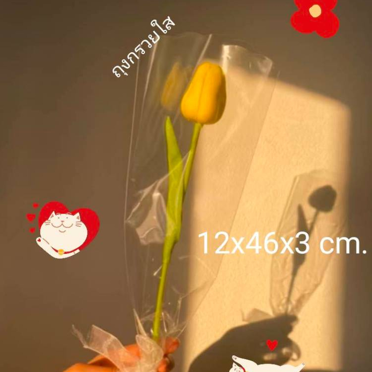 แพ็ค50ใบ เบอร์2L ใส [ปากตรง/ปากหยัก] ขนาด 12x46x3cm. ซองกรวยใส่ดอกไม้ ถุงใส่ดอกไม้ ซองใส่ดอกไม้ ถุงกรวย