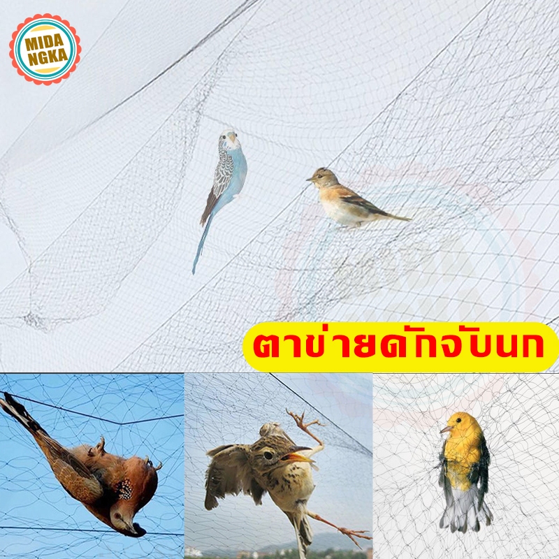 ตาข่ายดักจับนก ตาข่ายดักนก ดางดักนก ตาข่ายดักค้างคาว ตาข่ายจับนก อวนดักนกอวนดักนก พิราบ