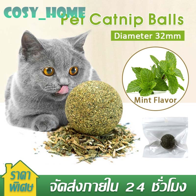 Deemar กัญชาแมว แคทนิปบอล ติดกำแพง ไม่กลิ้งหาย catnip ball XJ55