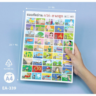โปสเตอร์ความรู้ ป้ายนิเทศ สื่อการเรียนการสอนเรื่อง ก.ไก่-ฮ A4 EA-339 บรรจุ:1 เเผ่น