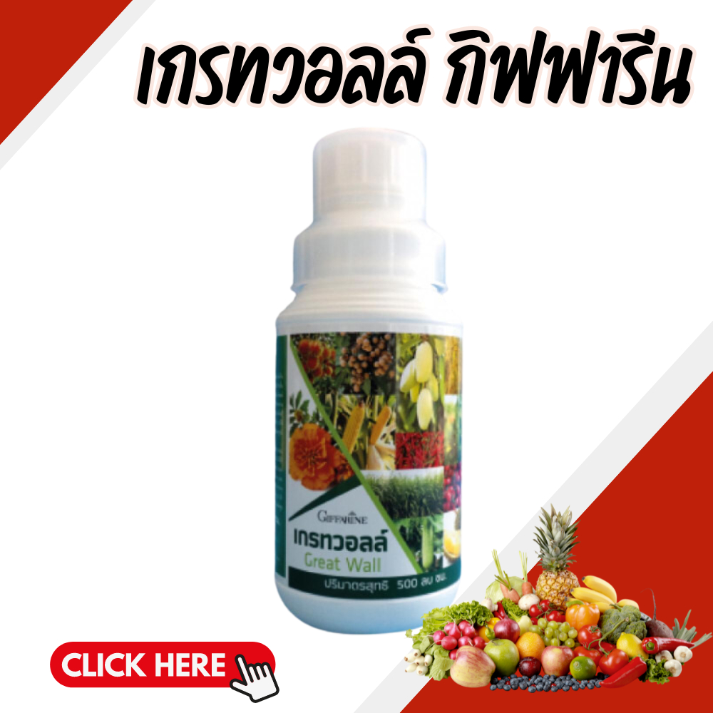 เกรทวอลล์ ปุ๋ย ปุ๋ยกิฟฟารีน ธาตุซิลิคอน ซึ่งอยู่ในรูปของซิลิคแอซิด