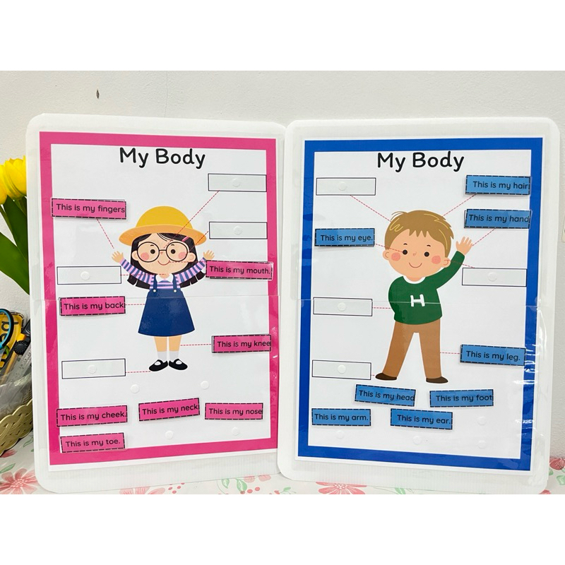 สื่อการสอนเรื่อง my body ชายหญิง
