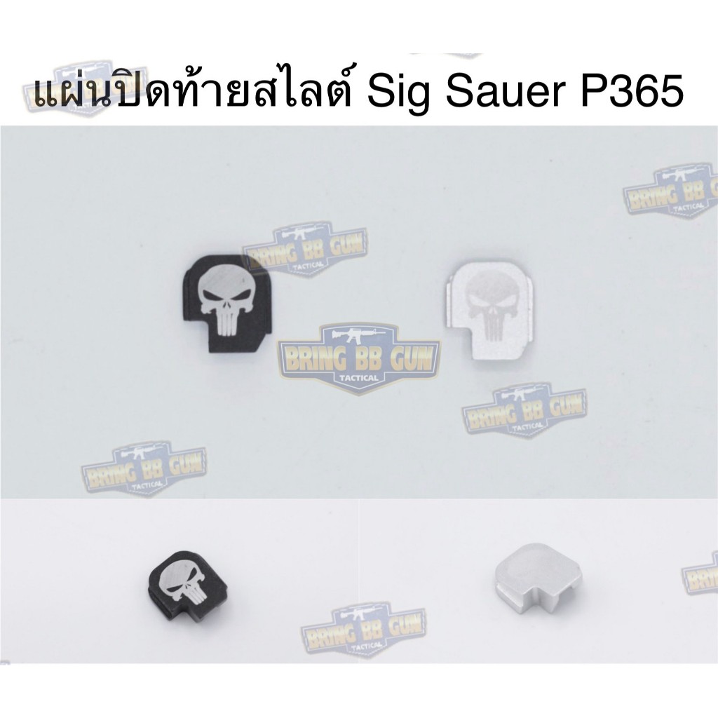 แผ่นปิดท้ายสไลต์ สีดำ สีเงิน รหัส P365