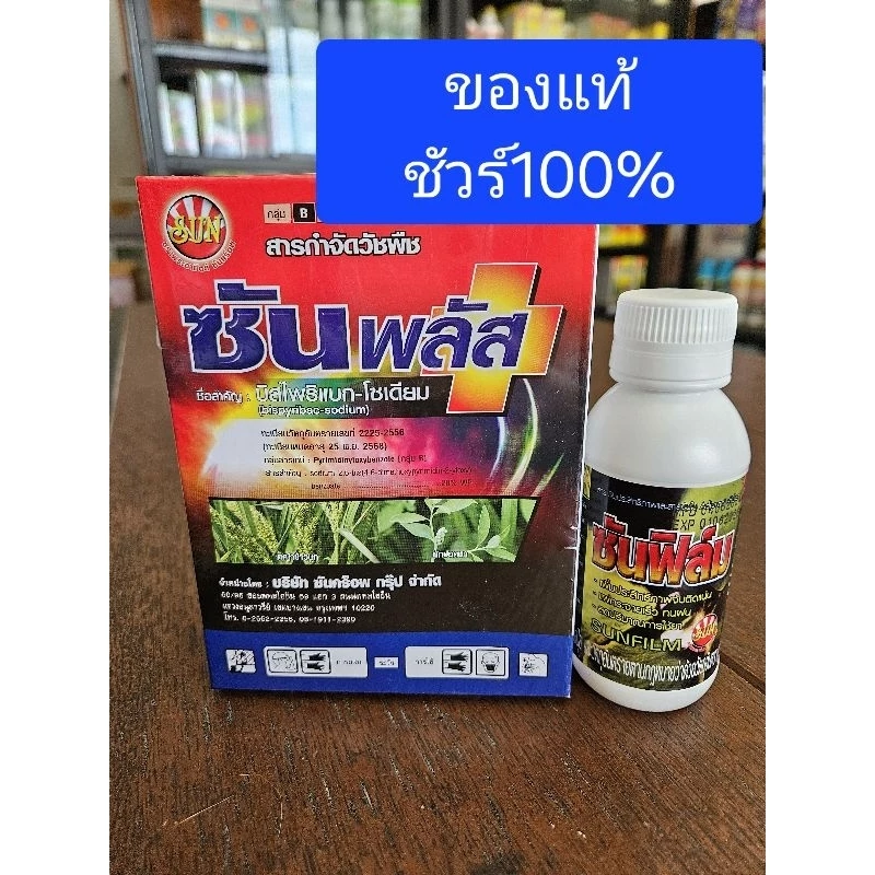ซันพลัส ซันฟิล์ม ยากำจัดวัชพืชใบแคบ(ลิเก กระดูกไก่ หญ้าแดง หญ้าปล้อง)ขนาด100g ฟรียาจับใบ100cc💥ระวังสินค้าลอกเลียนแบบ