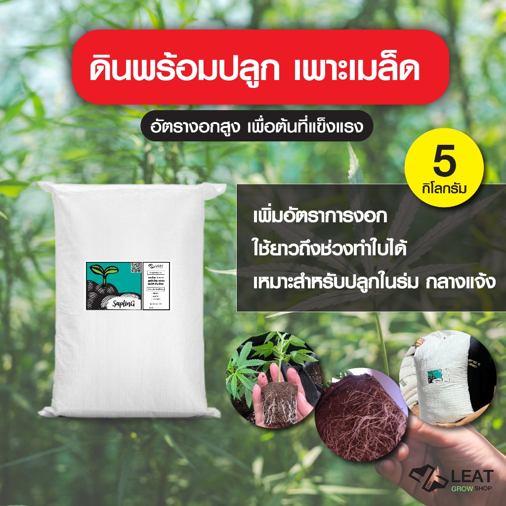 ดินปลูกสูตรต้นอ่อน เพาะกล้า ชำกิ่ง กัญชา 420 plant seedings soil ออแกนิค 5 กิโลกรัม 5kg