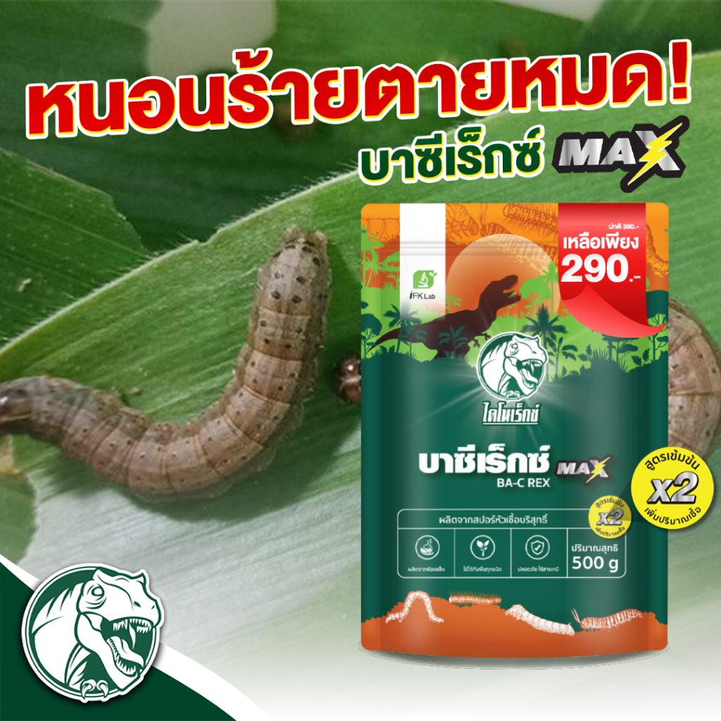 ยากำจัดหนอนทุกชนิด กำจัดหนอนกระทู้ หนอนบุ้ง หนอนชอนใบ หนอนใยผัก ปลอดภัยต่อคนใช้ 100%