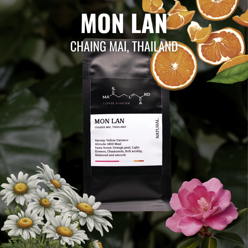 Maillard Coffee Roaster เมล็ดกาแฟคั่ว ม่อนล้าน Mon Lan Chiang Mai (คั่วอ่อน)