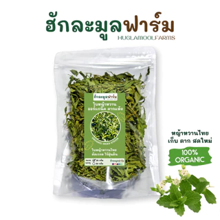 หญ้าหวาน ไทย ออร์แกนิค 25กรัม ตราฮักละมูลฟาร์ม Organic Stevia ชาหญ้าหวาน